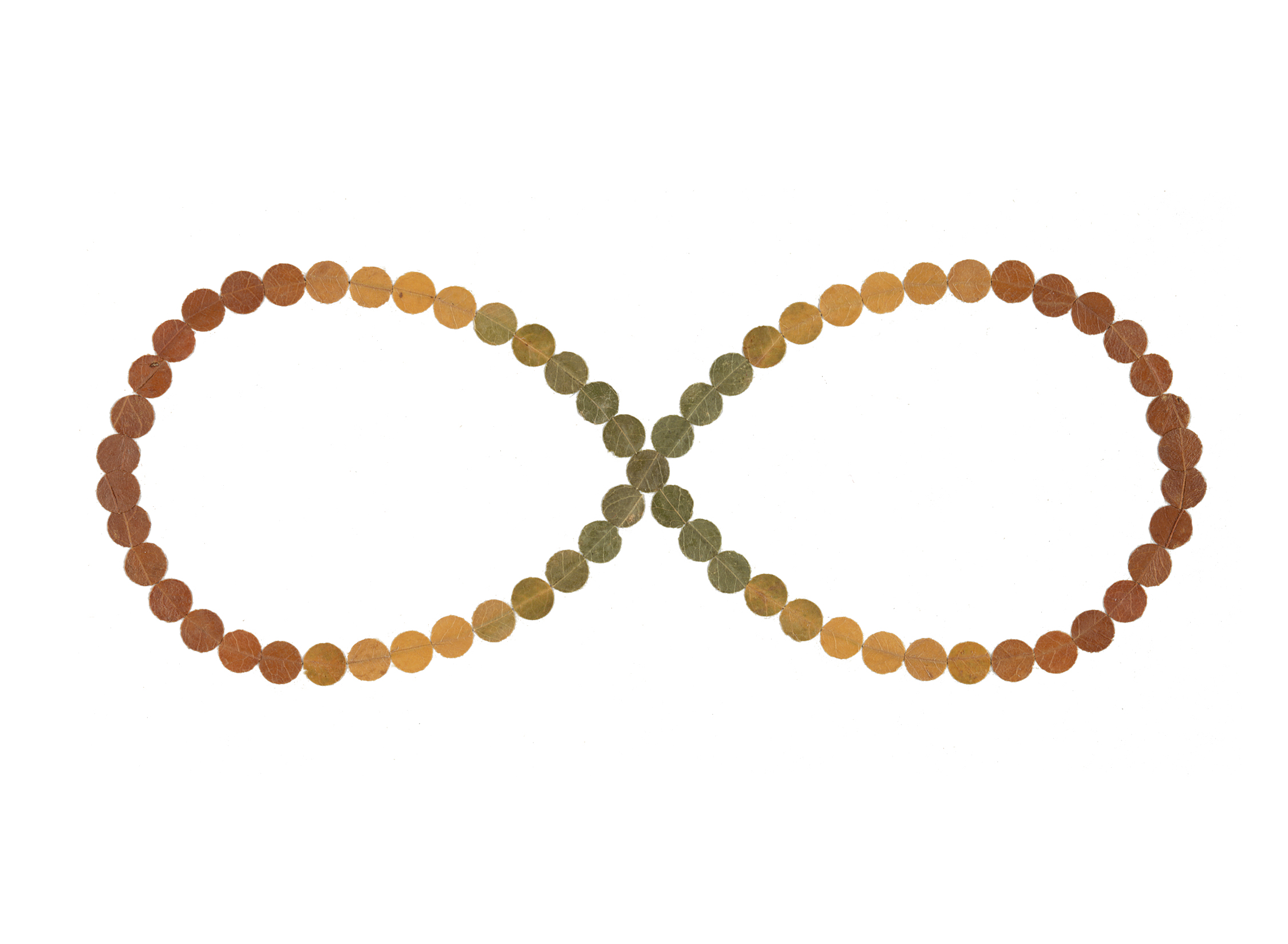 Bernouilli's Lemniscate (or 65 Years to a Brand New / Same Old You)